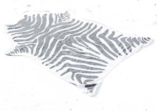 Enlarged image